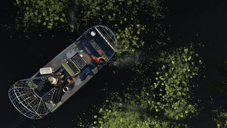 GTA VI uses the Grassrivers to make water, wildlife and visibility part of travel